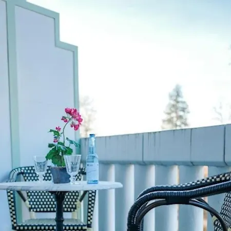 Le Joyau Des Parcs Classe 4 Etoiles Au Calme Avec Terrasse * Vichy