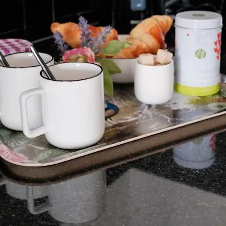 Le Joyau Des Parcs Classe 4 Etoiles Au Calme Avec Terrasse Vichy